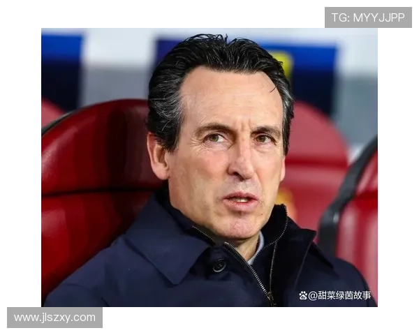 埃梅里谈转会兼维拉公园扩建规划